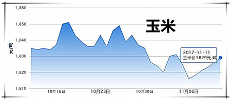 11月12日豬評：氣溫再下降，市場需求回升，豬價(jià)略有回溫