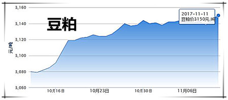 11月12日豬評：氣溫再下降，市場需求回升，豬價(jià)略有回溫